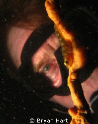 the last day of diving for the DUC Shootout... my dive mo... by Bryan Hart 